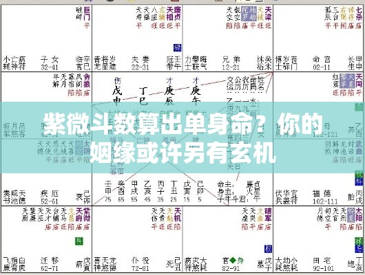 紫微斗数算出单身命？你的姻缘或许另有玄机