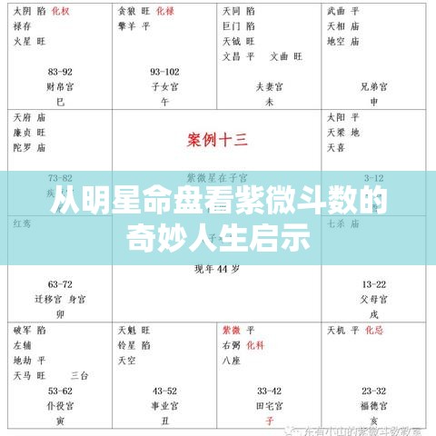 从明星命盘看紫微斗数的奇妙人生启示
