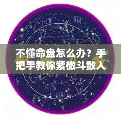 不懂命盘怎么办？手把手教你紫微斗数入门