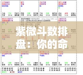 紫微斗数排盘：你的命盘藏着哪些人生答案