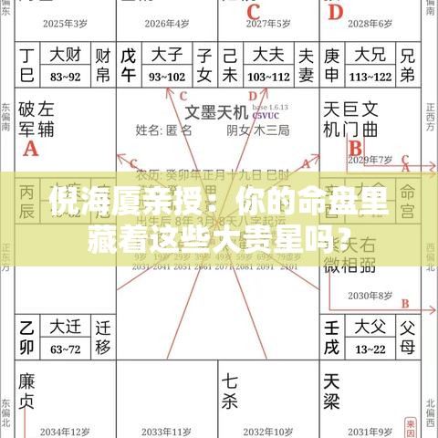 倪海厦亲授：你的命盘里藏着这些大贵星吗？