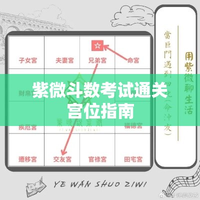 紫微斗数考试通关宫位指南