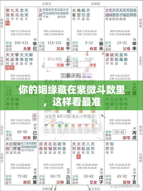 你的姻缘藏在紫微斗数里，这样看最准