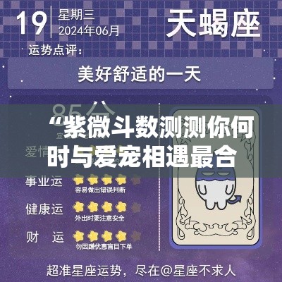“紫微斗数测测你何时与爱宠相遇最合适”