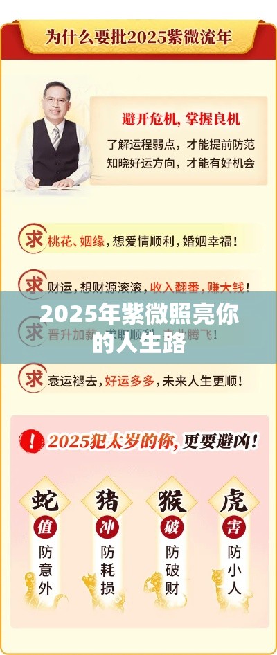 2025年紫微照亮你的人生路