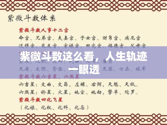 紫微斗数这么看，人生轨迹一眼透