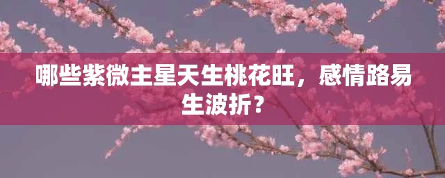 哪些紫微主星天生桃花旺，感情路易生波折？