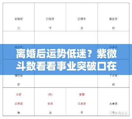离婚后运势低迷？紫微斗数看看事业突破口在哪里