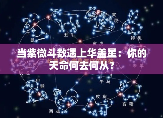 当紫微斗数遇上华盖星：你的天命何去何从？