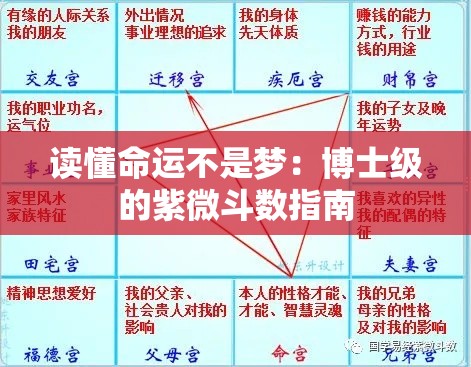 读懂命运不是梦：博士级的紫微斗数指南