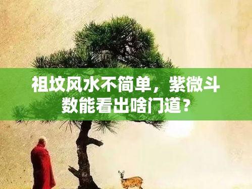 祖坟风水不简单，紫微斗数能看出啥门道？