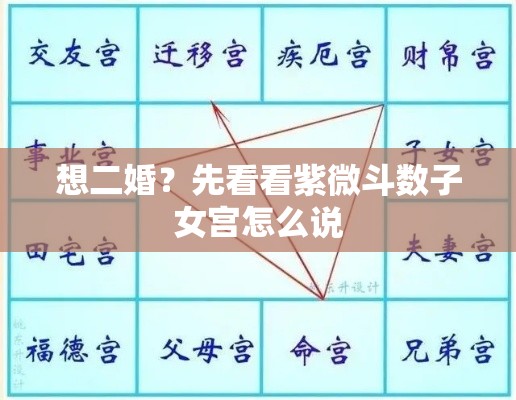 想二婚？先看看紫微斗数子女宫怎么说
