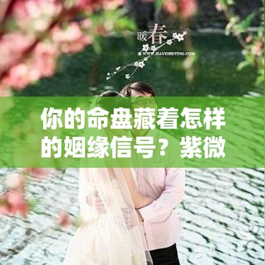 你的命盘藏着怎样的姻缘信号？紫微斗数这样看