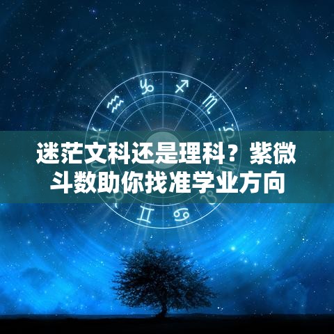 迷茫文科还是理科？紫微斗数助你找准学业方向
