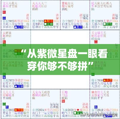 “从紫微星盘一眼看穿你够不够拼”