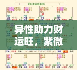 异性助力财运旺，紫微斗数教你乘风破浪