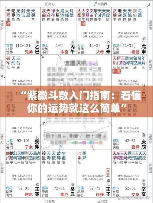“紫微斗数入门指南：看懂你的运势就这么简单”