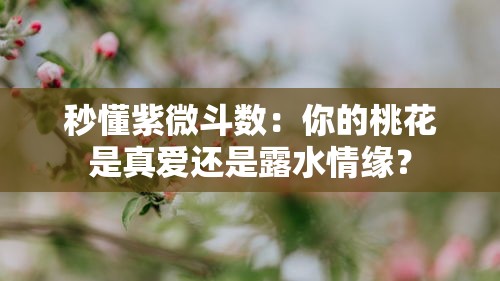 秒懂紫微斗数：你的桃花是真爱还是露水情缘？