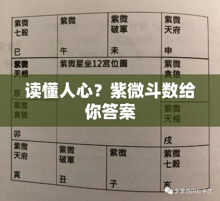 读懂人心？紫微斗数给你答案