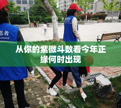 从你的紫微斗数看今年正缘何时出现