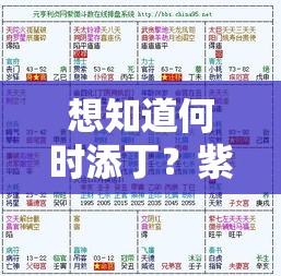想知道何时添丁？紫微斗数帮你算准好孕时机