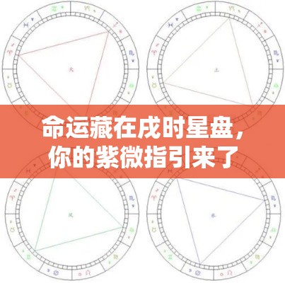 命运藏在戌时星盘，你的紫微指引来了