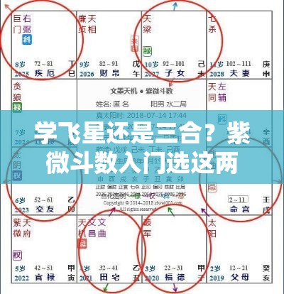 学飞星还是三合？紫微斗数入门选这两派别纠结死了