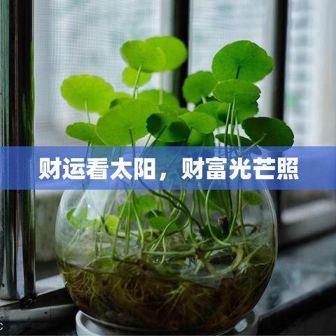 财运看太阳，财富光芒照