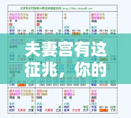 夫妻宫有这征兆，你的婚姻还好吗？紫微斗数解析