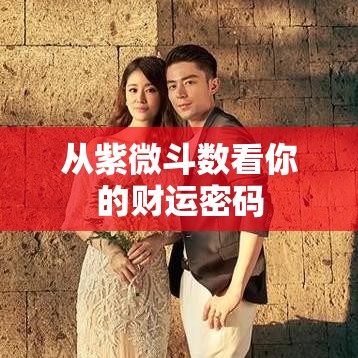 从紫微斗数看你的财运密码