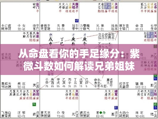 从命盘看你的手足缘分：紫微斗数如何解读兄弟姐妹