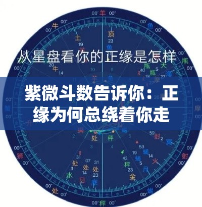 紫微斗数告诉你：正缘为何总绕着你走