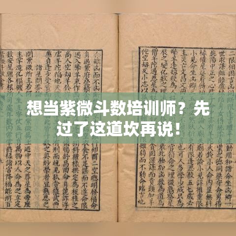想当紫微斗数培训师？先过了这道坎再说！