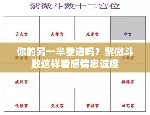 你的另一半靠谱吗？紫微斗数这样看感情忠诚度