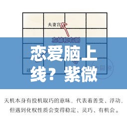 恋爱脑上线？紫微斗数教你理性看待感情