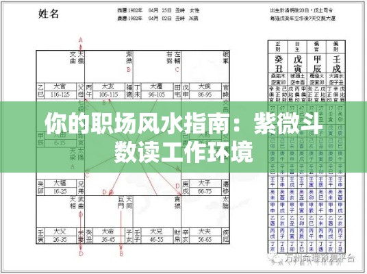 你的职场风水指南：紫微斗数读工作环境