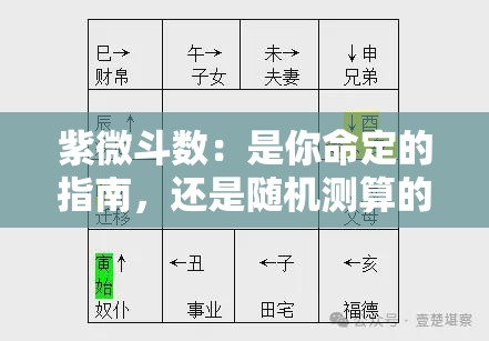紫微斗数：是你命定的指南，还是随机测算的玄学？