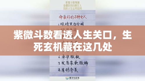 紫微斗数看透人生关口，生死玄机藏在这几处