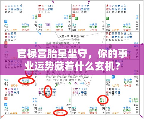 官禄宫胎星坐守，你的事业运势藏着什么玄机？