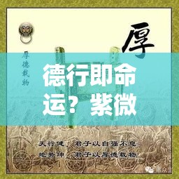 德行即命运？紫微斗数里藏着你的为人密码