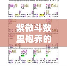 紫微斗数里抱养的孩子，命盘怎么看才准？
