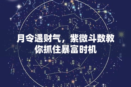 月令遇财气，紫微斗数教你抓住暴富时机