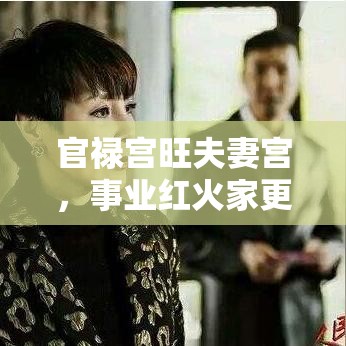 官禄宫旺夫妻宫，事业红火家更甜