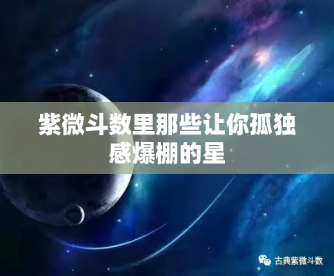 紫微斗数里那些让你孤独感爆棚的星