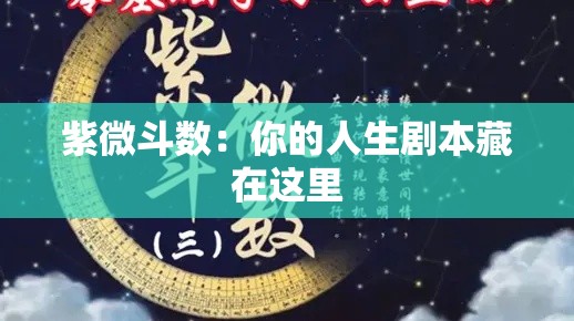 紫微斗数：你的人生剧本藏在这里
