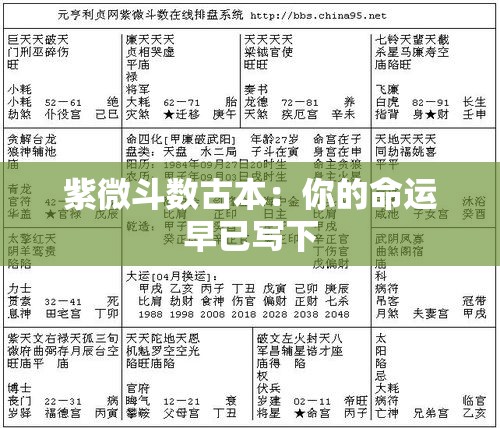 紫微斗数古本：你的命运早已写下