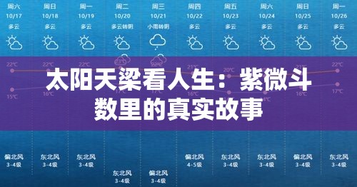 太阳天梁看人生：紫微斗数里的真实故事
