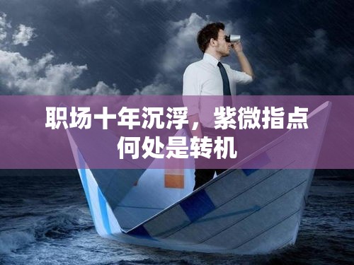 职场十年沉浮，紫微指点何处是转机