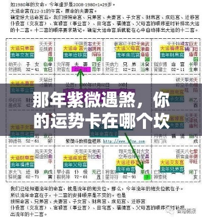 那年紫微遇煞，你的运势卡在哪个坎儿？