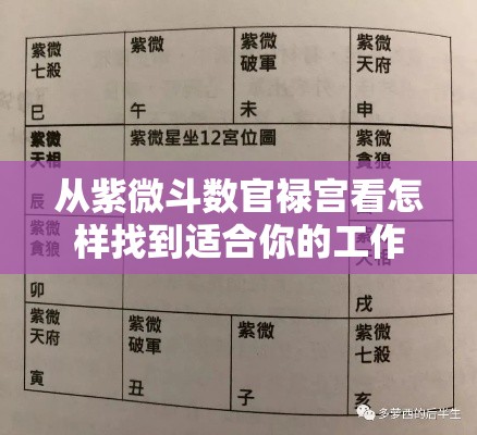 从紫微斗数官禄宫看怎样找到适合你的工作